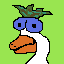 space duck luke