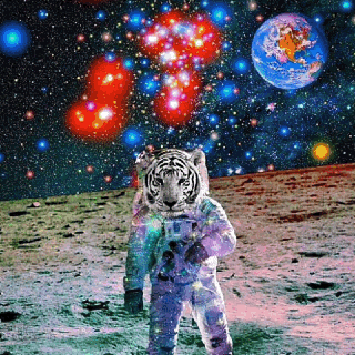 funky
