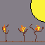 on fire forest