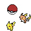 raichu and pikachu