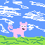 pig