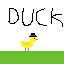 duck