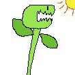 venus flytrap