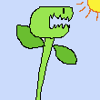venus flytrap