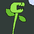 venus flytrap2