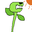 venus flytrap3