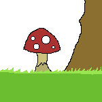 boletus