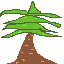 tree time