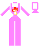 orchids