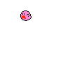 booorchid