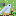 blue bird