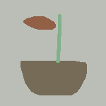 planta carnivora