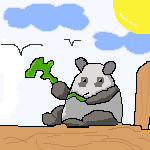 panda