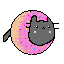 pusheen cat donut