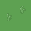 grass1