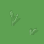 grass4