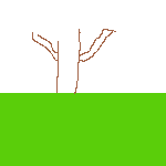 arbre