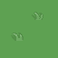 grass5