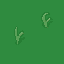 jungle_tile1