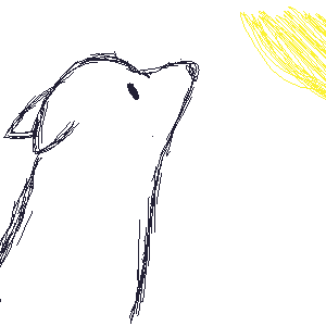10801