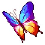 mariposa