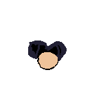 pucca