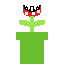 planta mario