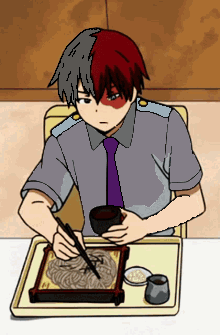 v todoroki