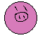 pig barrel