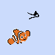 nemo