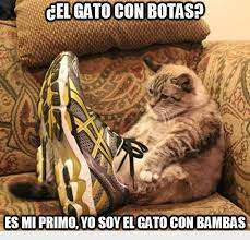 memes