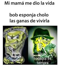 memes