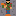 joel