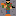 joel