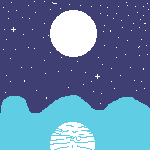 nit estrellada