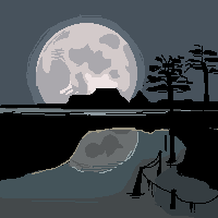 paisatge nocturn