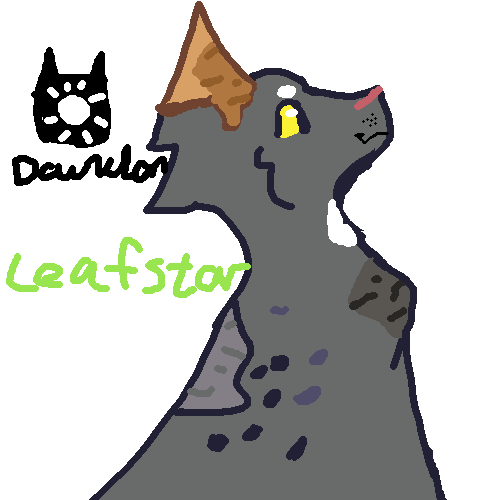 leafstar dawnclan