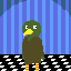 duck