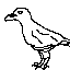 ggamaggui