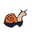 snail