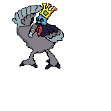 turkyng
