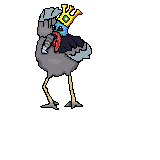 turkyng updated