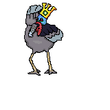 turkyng complete