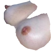 dlrnfkf
