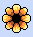 pretty flower
