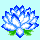 cute lotus flower