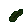 alga
