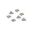birds1