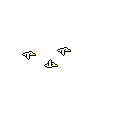birds2
