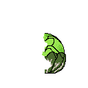 cabbage5
